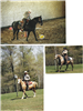Collage of three pictures of officers on horseback