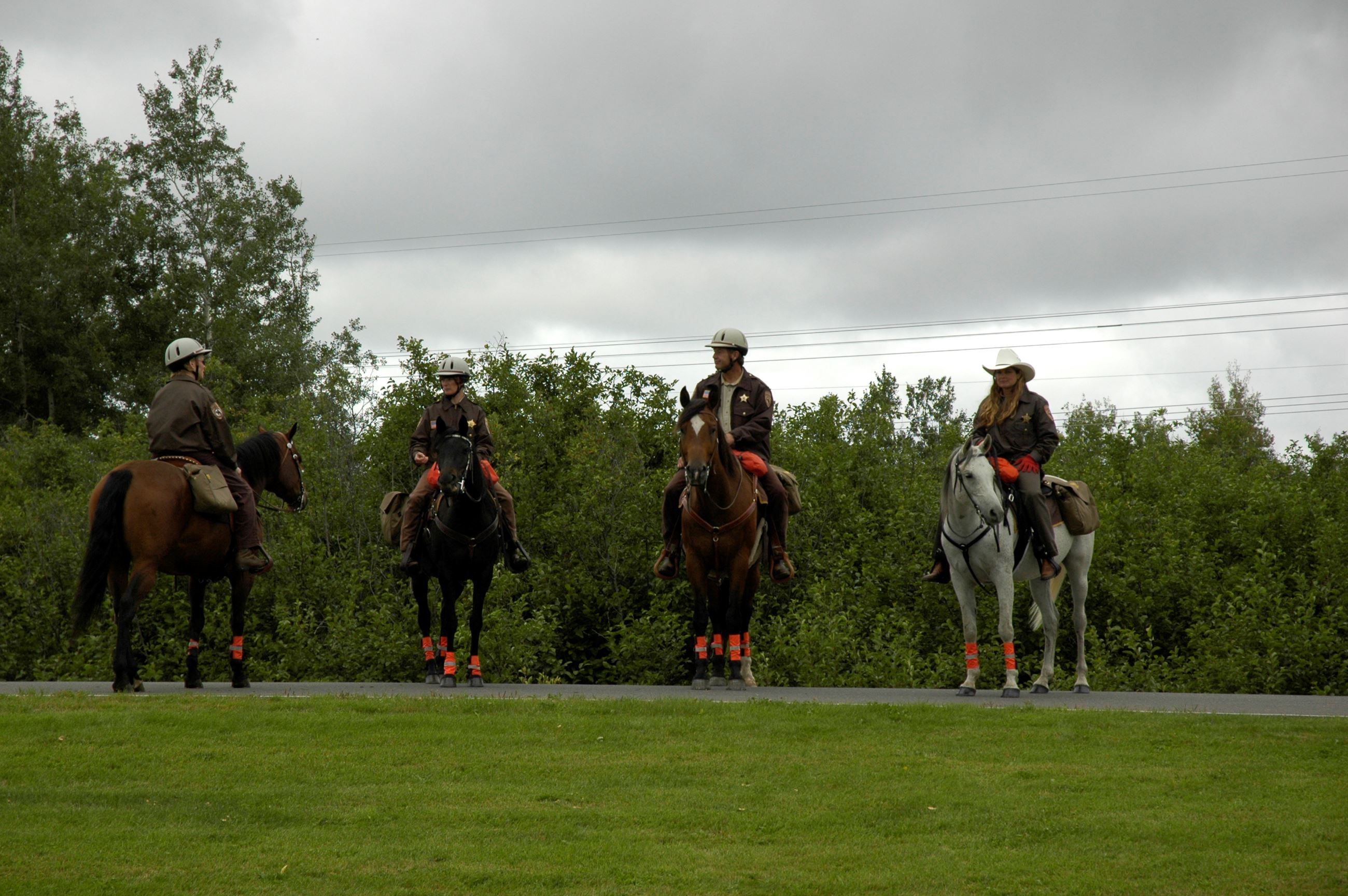 Four mounted officers giving demonstration