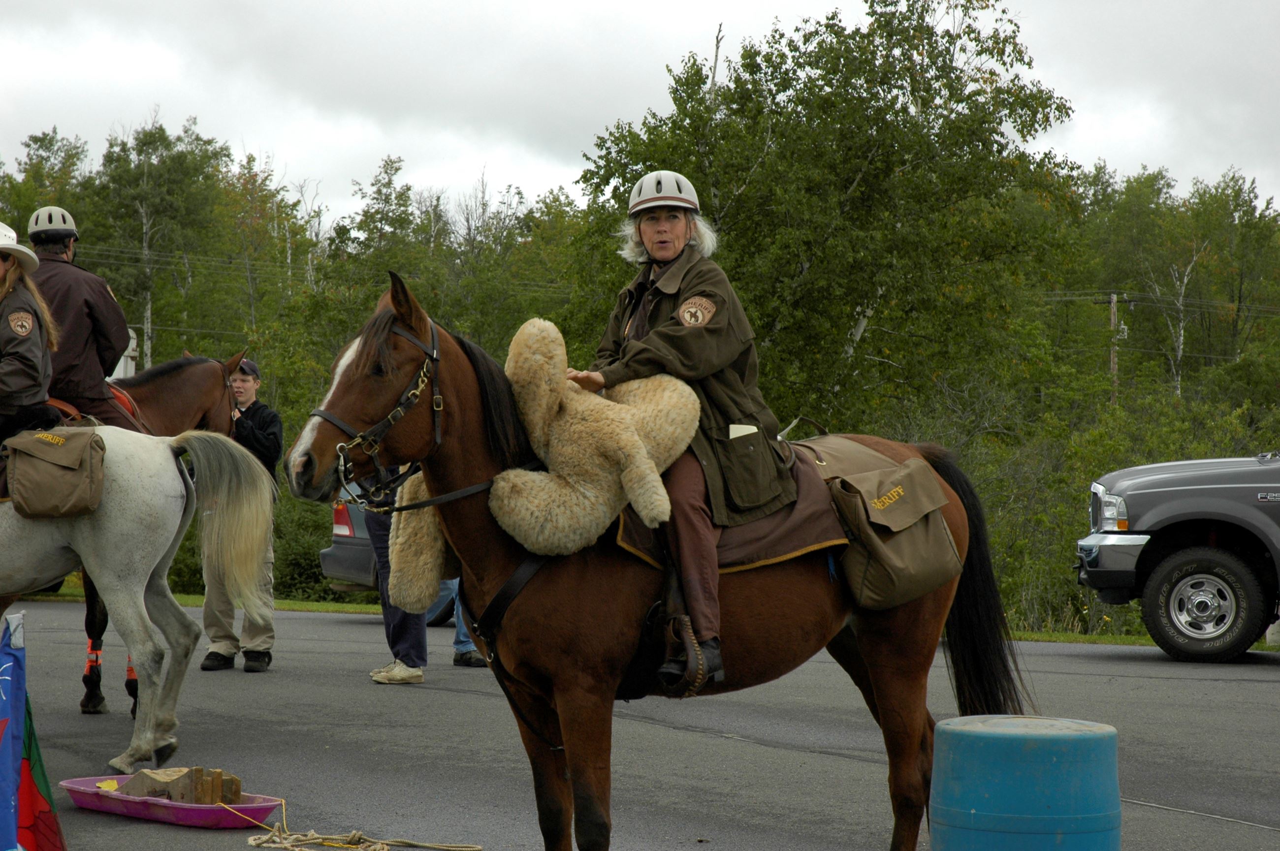 Officer giving horse demonstration