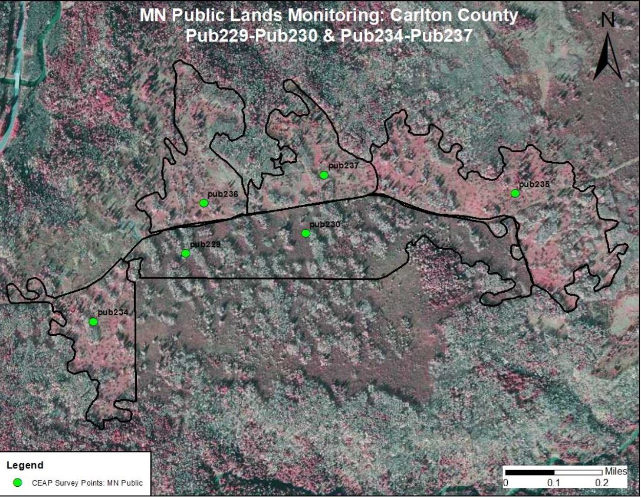 Bird Survey Locations